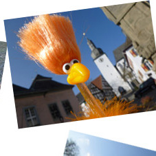 Freddy und die Arnsberger Altstadt