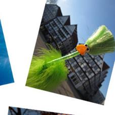 Fred und der Wilde Mann