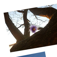 Inga am M�hnesee 2