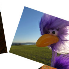 Ingas Haar auf der Haar