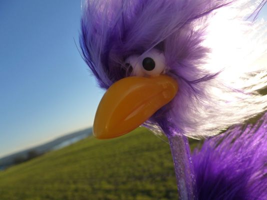 Ingas Haar auf der Haar