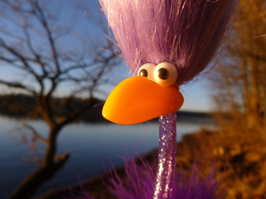 Ingo am M�hnesee 2