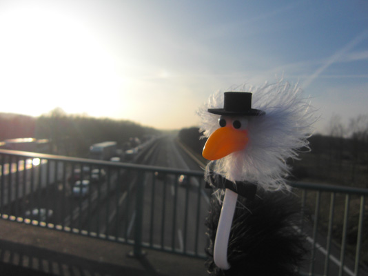 Alfred auf A44-Autobahnbr�cke