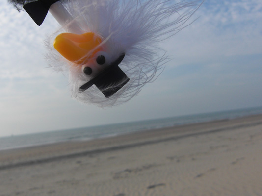 Alfred am Strand oben