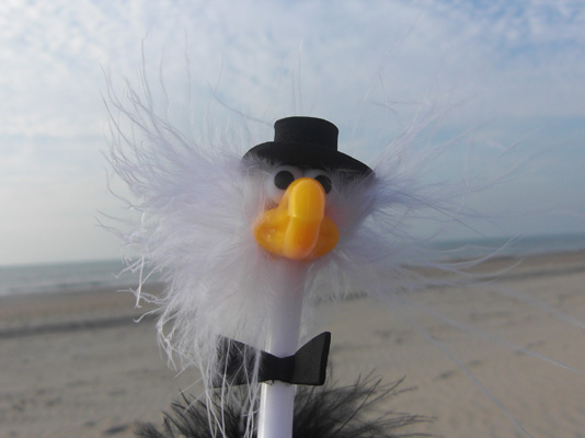 Alfred am Strand unten