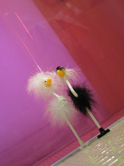 Frida und Alfred im Bad