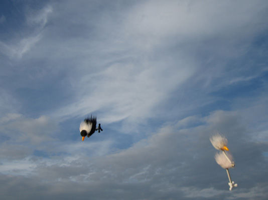 Frida und Alfred in der Luft