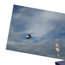 Frida und Alfred in der Luft