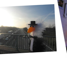 Alfred auf der A44-Br�cke