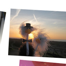 Frida und Alfred im Sonnenuntergang