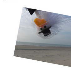 Alfred am Strand oben