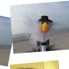 Alfred am Strand unten