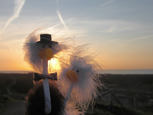 Frida und Alfred im Sonnenuntergang