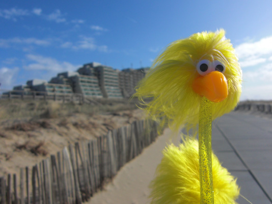 Fibo und der Hotelklotz