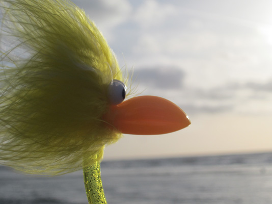 Fibo genie�t den Abend