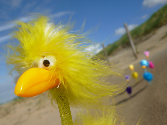 Fibo und die Anderen