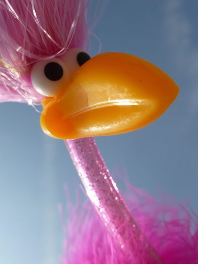 Tag am Meer mit Floyd