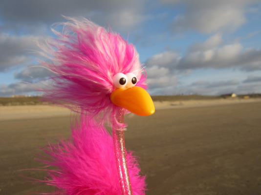 Fredda und die letzten Strahlen