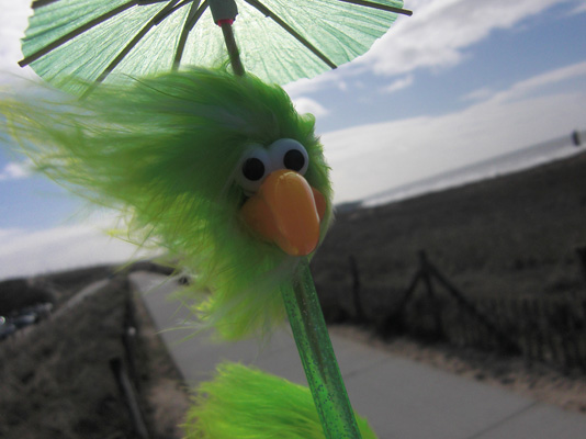 Frederike und das Schirmchen