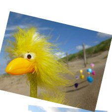 Fibo und die Anderen