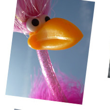 Tag am Meer mit Floyd