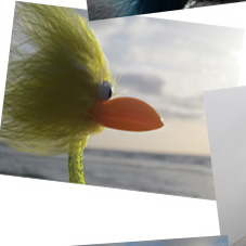 Fibo genie�t den Abend