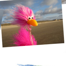 Fredda und die letzten Strahlen