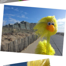 Fibo und der Hotelklotz