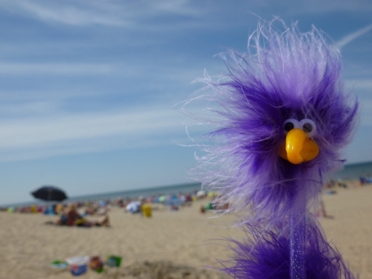 Inga und die Sonnenschirme