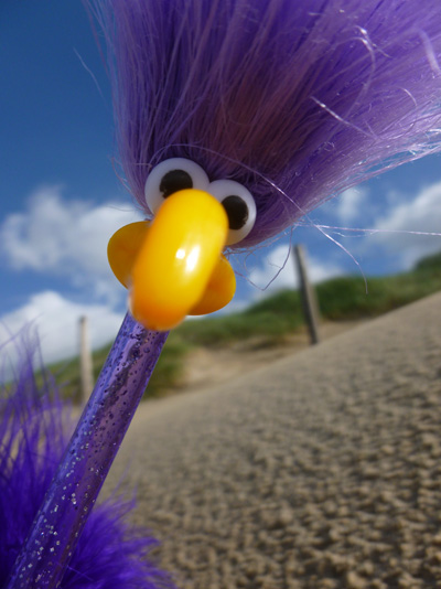 Ingo und der Sandstrand