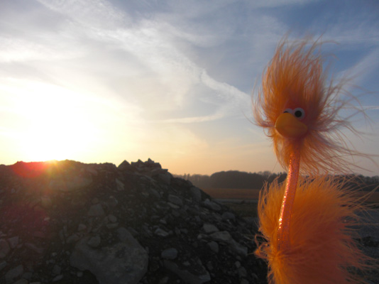 Fiffy und der Sonnenuntergang