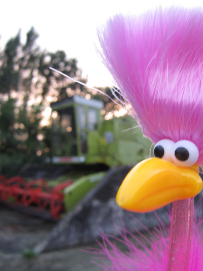 Floyd, mach mal M�h