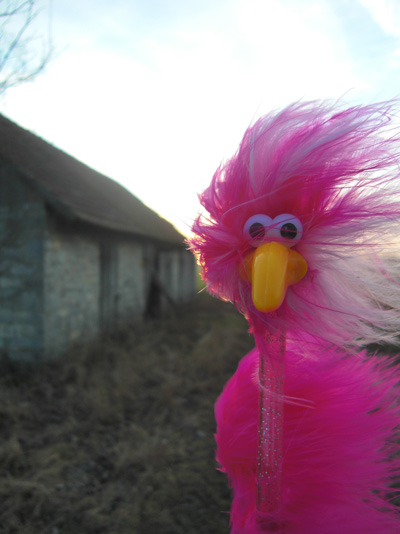 Fredda und die Scheune