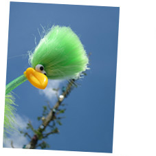 Fred und die Vogelh�user