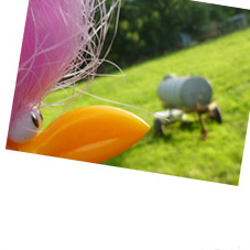 Floyd und die G�lle