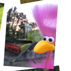 Floyd, mach mal M�h