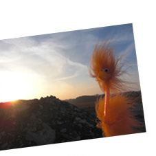 Fiffy und der Sonnenuntergang