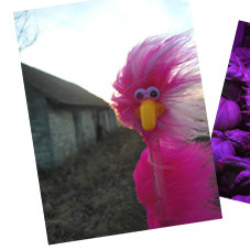 Fredda und die Scheune