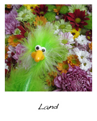 Vorschau Land-Galerie