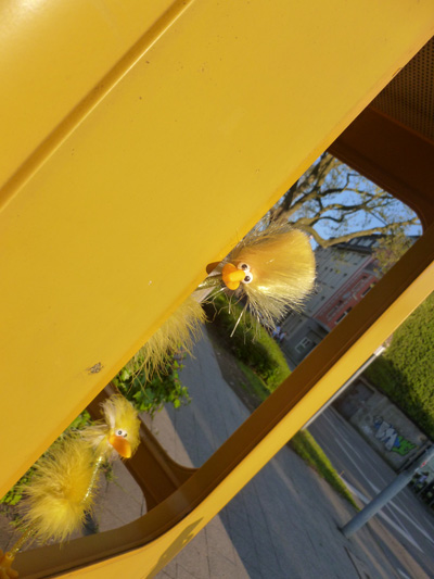 Finn und Fibo erobern die Zelle