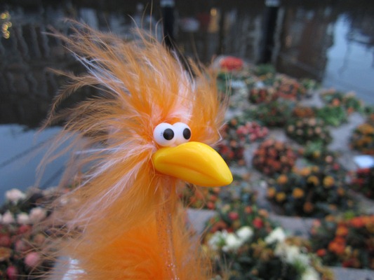 Fiffy am Homomonument