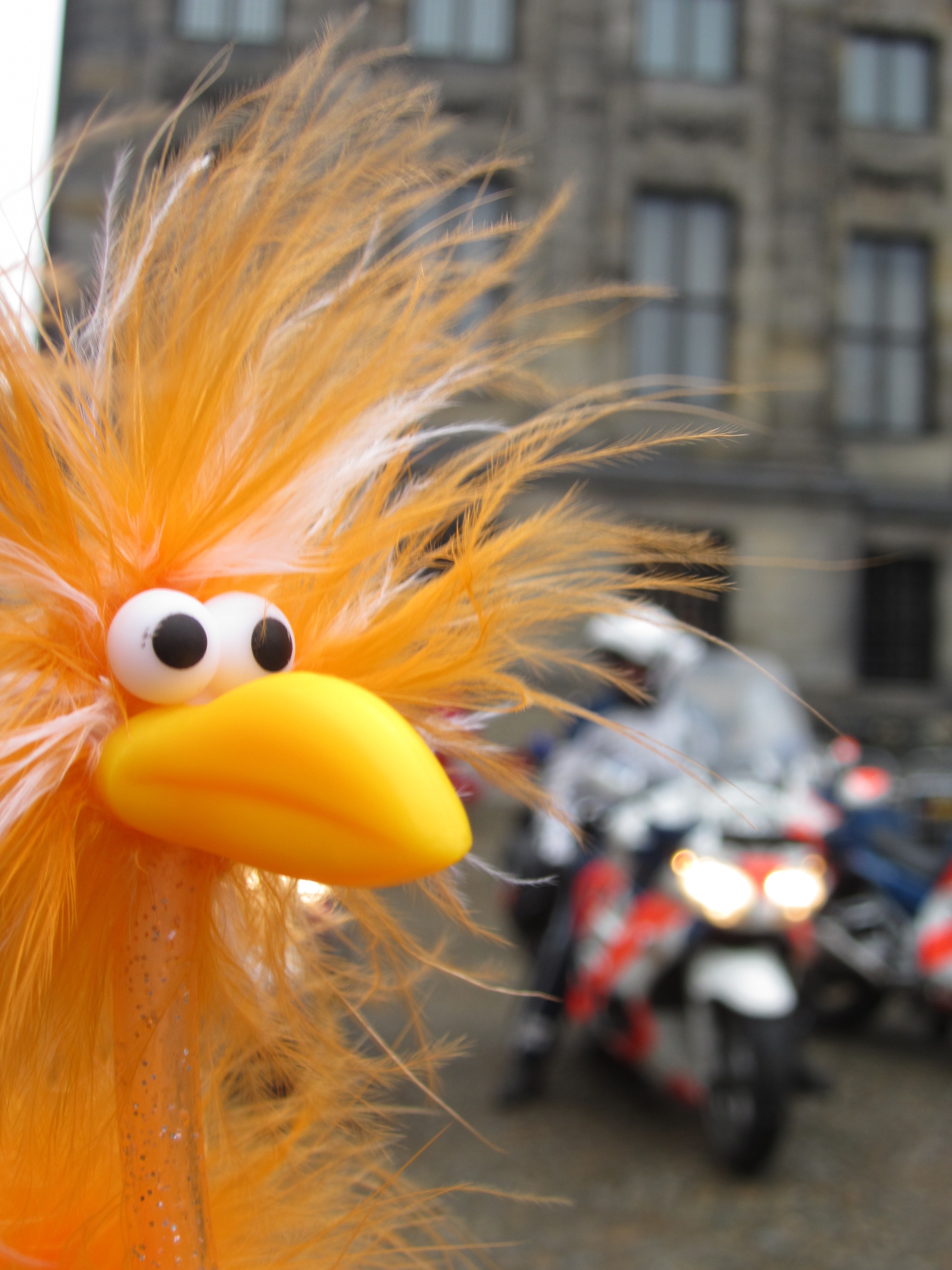 Fiffy und das Polizeimotorrad