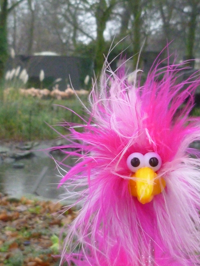 Fredda besucht die Verwandtschaft