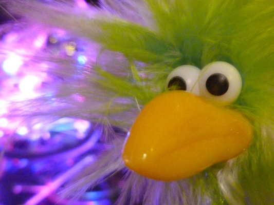 Frederike mit Lichtkunst