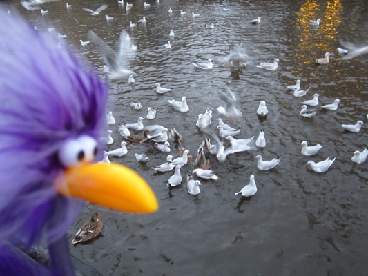 Inga f�ttert die V�gel