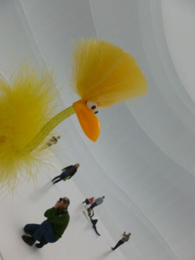 Finn wird fotografiert