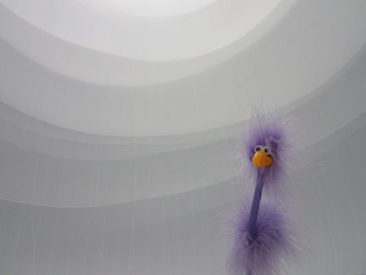 Flora im Big Air Package