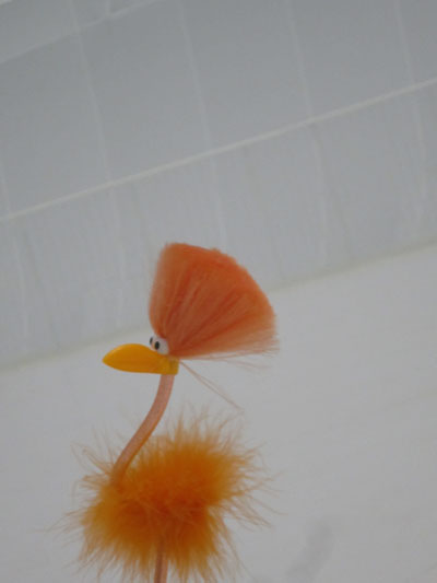 Freddy rennt aus dem Bild