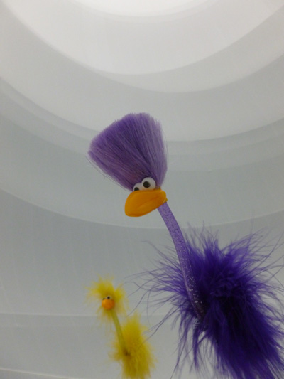 Ingo und Fibo im Big Air Package