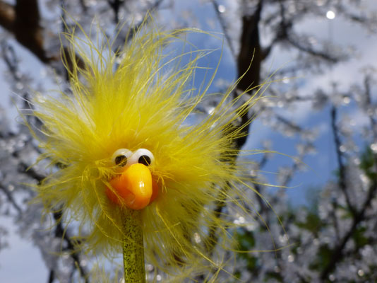 Fibo und die Eisblumen